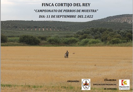 Cartel competicion reclamo