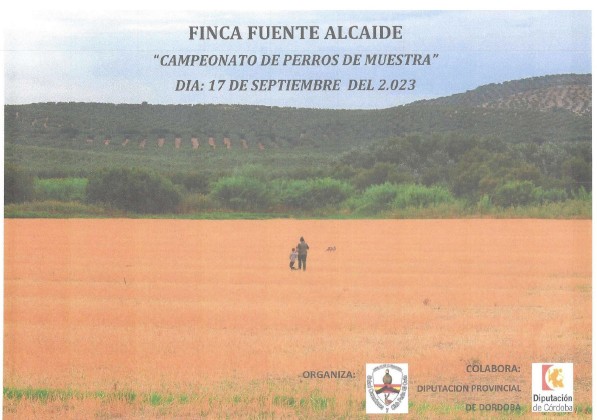Cartel competicion reclamo